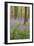 A View of Bluebells in Micheldever Wood-Chris Button-Framed Photographic Print