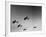 A View of Bomber Planes Being Used During US Army Maneuvers-John Phillips-Framed Premium Photographic Print