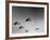 A View of Bomber Planes Being Used During US Army Maneuvers-John Phillips-Framed Premium Photographic Print