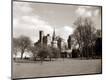 Photographic Print