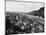 A View of Heidelberg-null-Mounted Photographic Print