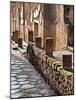 A View of Herculaneum Archaeological Site, Herculaneum Ruins, Near Naples, Campania, Italy-Miva Stock-Mounted Photographic Print