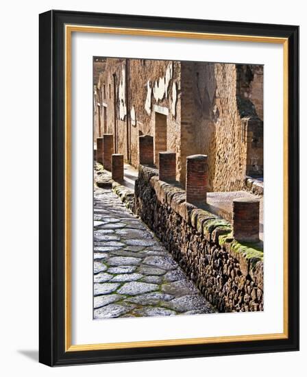 A View of Herculaneum Archaeological Site, Herculaneum Ruins, Near Naples, Campania, Italy-Miva Stock-Framed Photographic Print