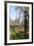 A View of Kings College from the Backs, Cambridge, Cambridgeshire, England, United Kingdom, Europe-Charlie Harding-Framed Photographic Print