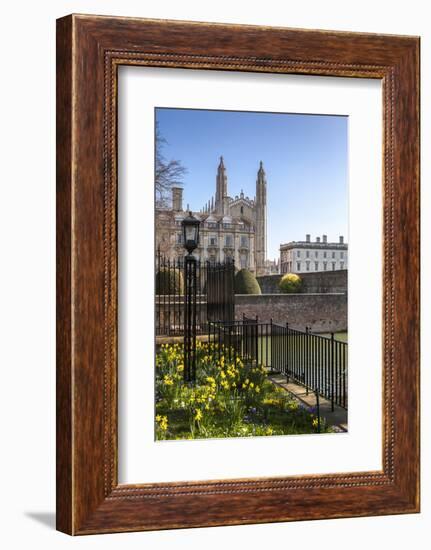 A View of Kings College from the Backs, Cambridge, Cambridgeshire, England, United Kingdom, Europe-Charlie Harding-Framed Photographic Print