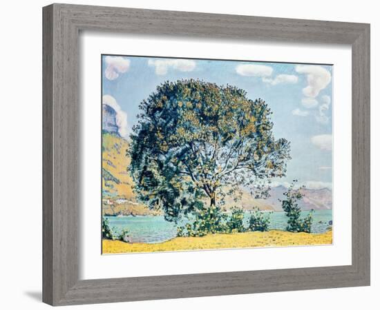 A View of Lake Brienz from Bodeli-Ferdinand Hodler-Framed Giclee Print