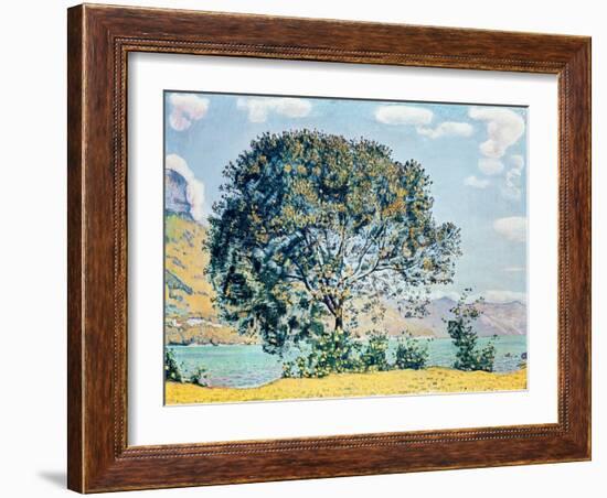 A View of Lake Brienz from Bodeli-Ferdinand Hodler-Framed Giclee Print