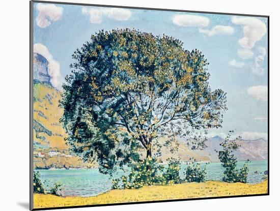 A View of Lake Brienz from Bodeli-Ferdinand Hodler-Mounted Giclee Print