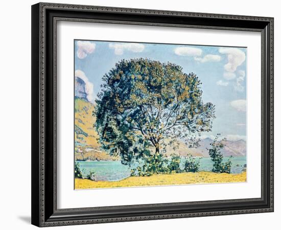 A View of Lake Brienz from Bodeli-Ferdinand Hodler-Framed Giclee Print