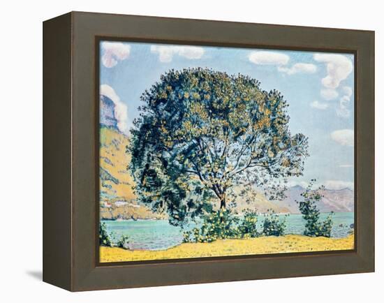 A View of Lake Brienz from Bodeli-Ferdinand Hodler-Framed Premier Image Canvas