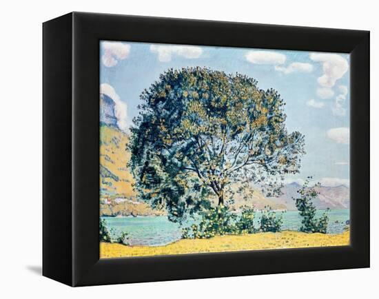 A View of Lake Brienz from Bodeli-Ferdinand Hodler-Framed Premier Image Canvas