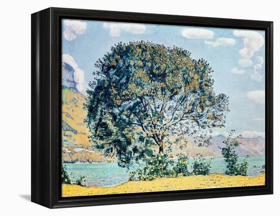 A View of Lake Brienz from Bodeli-Ferdinand Hodler-Framed Premier Image Canvas