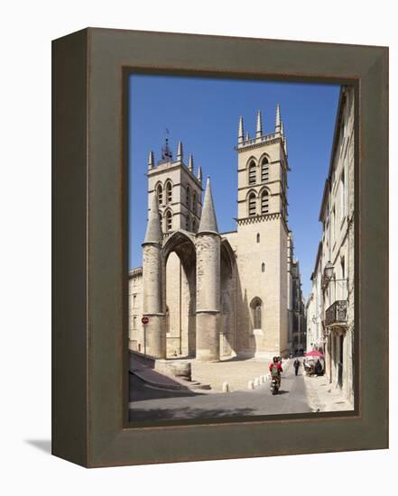 A View of Montpellier Cathedral, Montpellier, Languedoc-Roussillon, France, Europe-David Clapp-Framed Premier Image Canvas