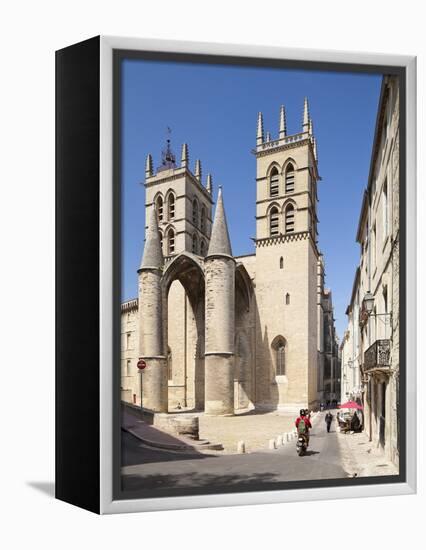 A View of Montpellier Cathedral, Montpellier, Languedoc-Roussillon, France, Europe-David Clapp-Framed Premier Image Canvas