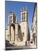 A View of Montpellier Cathedral, Montpellier, Languedoc-Roussillon, France, Europe-David Clapp-Mounted Photographic Print