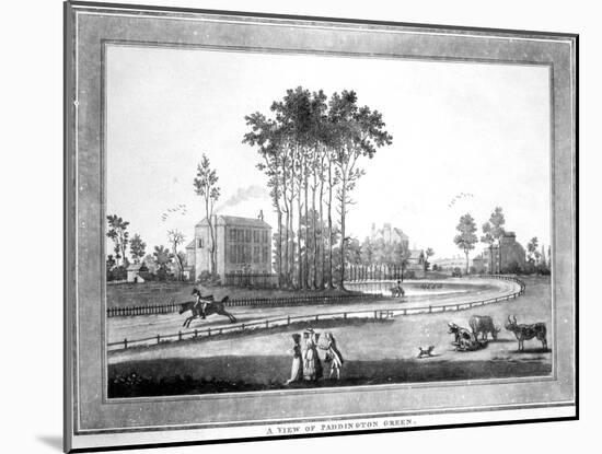 A View of Paddington Green-Haynes King-Mounted Giclee Print