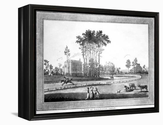 A View of Paddington Green-Haynes King-Framed Premier Image Canvas