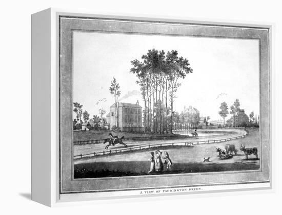 A View of Paddington Green-Haynes King-Framed Premier Image Canvas