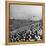 A View of Ships in the Water Near the Stadium During an Annapolis Naval Academy Football Game-David Scherman-Framed Premier Image Canvas