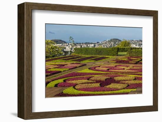 A View of the Botanical Gardens-Michael Nolan-Framed Photographic Print