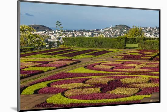 A View of the Botanical Gardens-Michael Nolan-Mounted Photographic Print