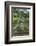 A View of the Botanical Gardens-Michael Nolan-Framed Photographic Print