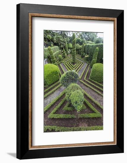 A View of the Botanical Gardens-Michael Nolan-Framed Photographic Print