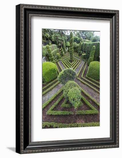 A View of the Botanical Gardens-Michael Nolan-Framed Photographic Print