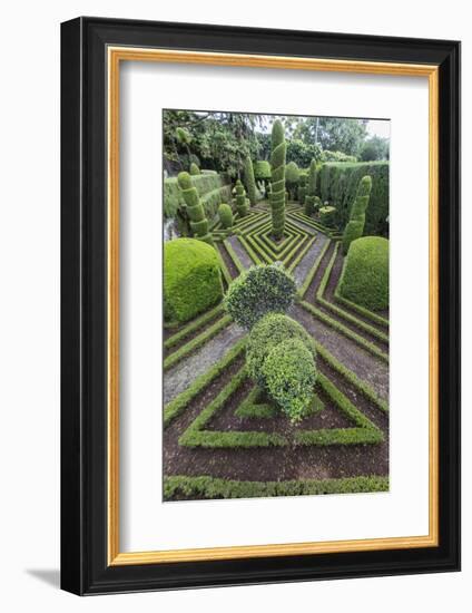 A View of the Botanical Gardens-Michael Nolan-Framed Photographic Print