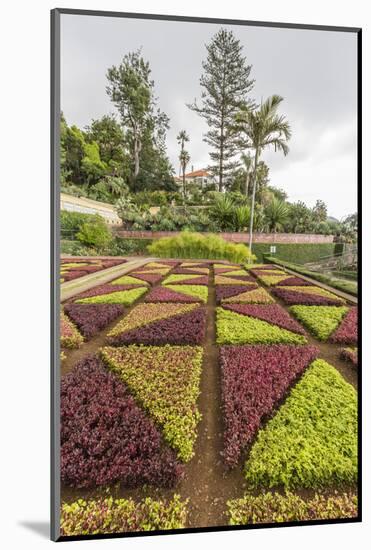 A View of the Botanical Gardens-Michael Nolan-Mounted Photographic Print