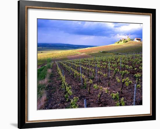 A View of the Champagne Vineyards-null-Framed Photographic Print