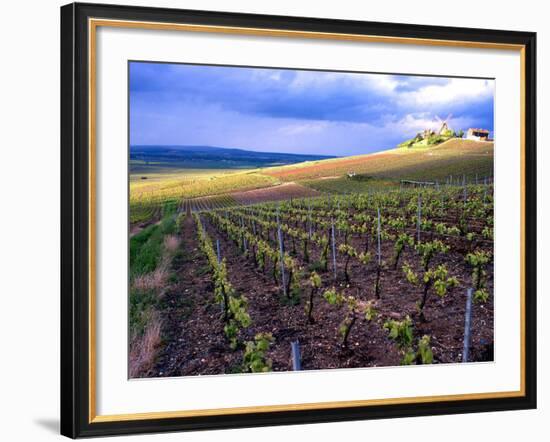 A View of the Champagne Vineyards-null-Framed Photographic Print