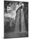 Photographic Print