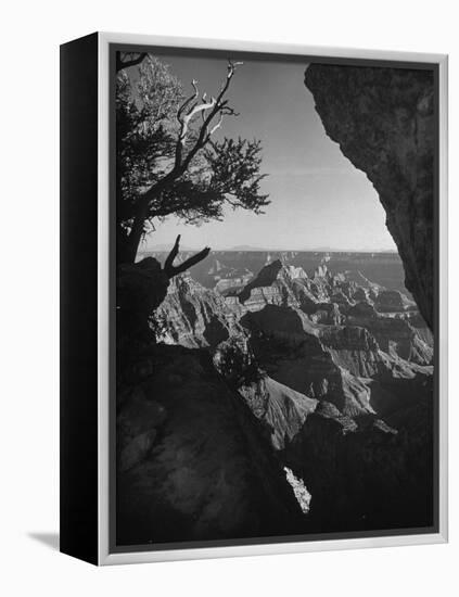 A View of the Grand Canyon National Park-null-Framed Premier Image Canvas