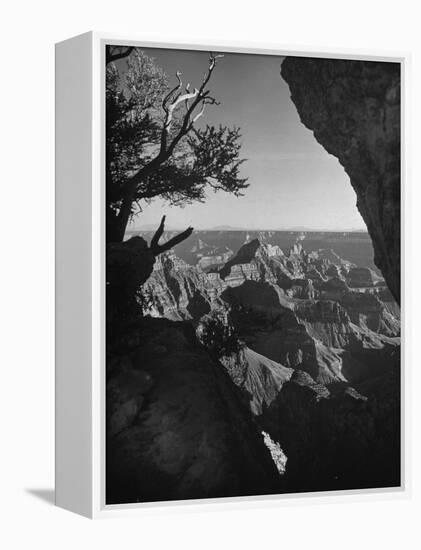 A View of the Grand Canyon National Park-null-Framed Premier Image Canvas