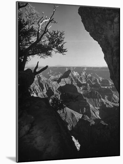 A View of the Grand Canyon National Park-null-Mounted Photographic Print