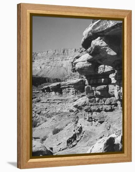 A View of the Grand Canyon National Park-null-Framed Premier Image Canvas