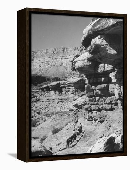 A View of the Grand Canyon National Park-null-Framed Premier Image Canvas