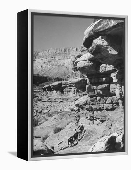 A View of the Grand Canyon National Park-null-Framed Premier Image Canvas