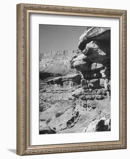 A View of the Grand Canyon National Park-null-Framed Photographic Print