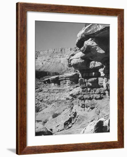 A View of the Grand Canyon National Park-null-Framed Photographic Print