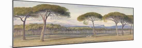 A View of the Pine Woods Above Cannes, 1869-Edward Lear-Mounted Giclee Print