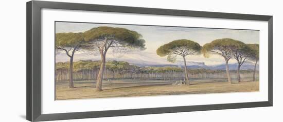 A View of the Pine Woods Above Cannes, 1869-Edward Lear-Framed Giclee Print