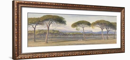 A View of the Pine Woods Above Cannes, 1869-Edward Lear-Framed Giclee Print
