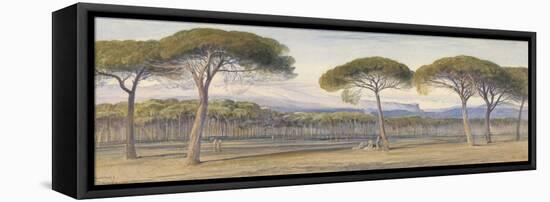 A View of the Pine Woods Above Cannes, 1869-Edward Lear-Framed Premier Image Canvas