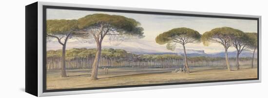 A View of the Pine Woods Above Cannes, 1869-Edward Lear-Framed Premier Image Canvas