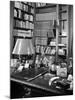 A View of the Surface of Thomas Mann's Working Desk, in His Princeton Home-Hansel Mieth-Mounted Premium Photographic Print