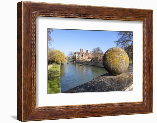 A View of Tourists Punting Along the River Cam Along the Backs, Cambridge, Cambridgeshire, England-Charlie Harding-Framed Photographic Print