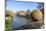 A View of Tourists Punting Along the River Cam Along the Backs, Cambridge, Cambridgeshire, England-Charlie Harding-Mounted Photographic Print