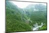 A View of Waterfalls and Forest from the Flam Railway, Flamsbana, Flam, Norway, Scandinavia, Europe-Amanda Hall-Mounted Photographic Print